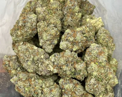 PINK FATMAN TOPS (EXTREME GAS) - Image 3